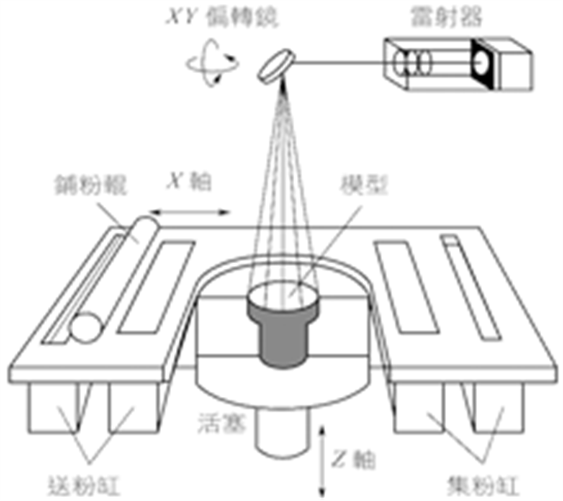 SLS尼龙 图片 10