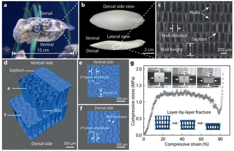 3D打印人造肌肉实现新突破，可以轻松举起自身重量的1000倍