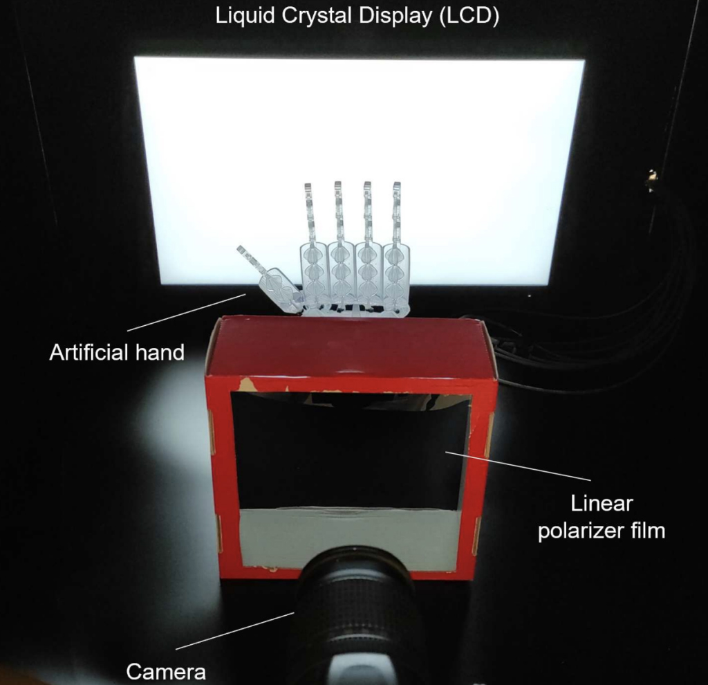 3D打印人造肌肉实现新突破，可以轻松举起自身重量的1000倍