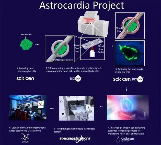 人类将在国际空间站3D打印金属零件，失重状态会有什么不一样？ 图片